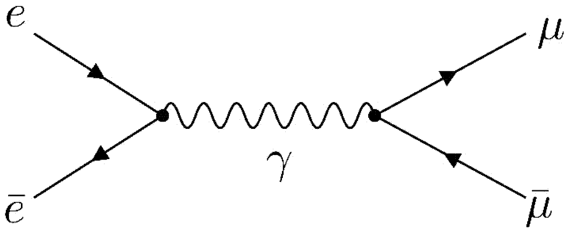Feynman diagram representation